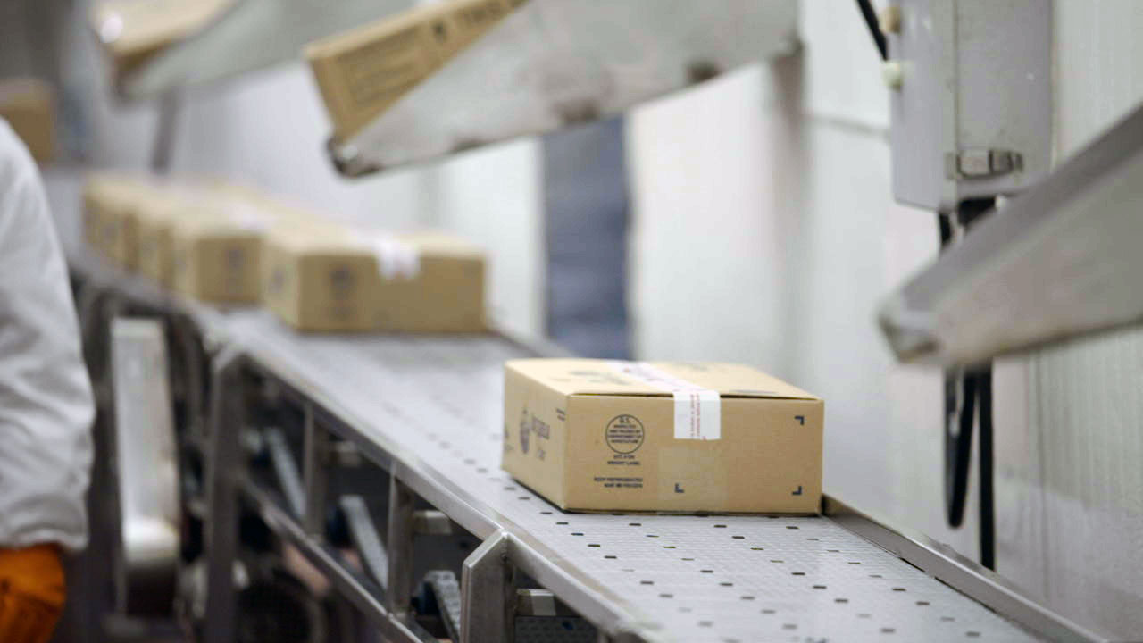 Cardboard boxes riding on a conveyor belt in a meat processing facility. 